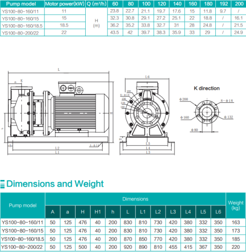 Насос YS100-80-160/11, 11 кВт, 380 В, DN100, нерж, 100 С, SHIMGE